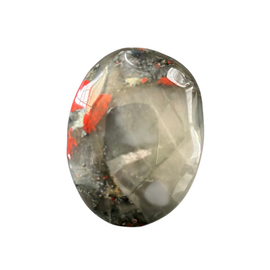 103g African Bloodstone Palm Stone