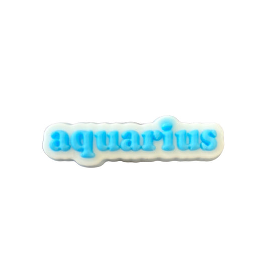 Aquarius Zodiac Shoe Charm