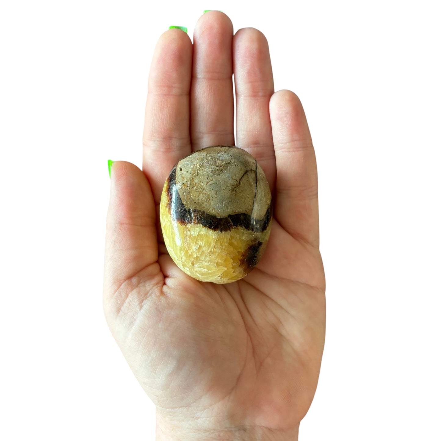 112g Septarian  Palm Stone