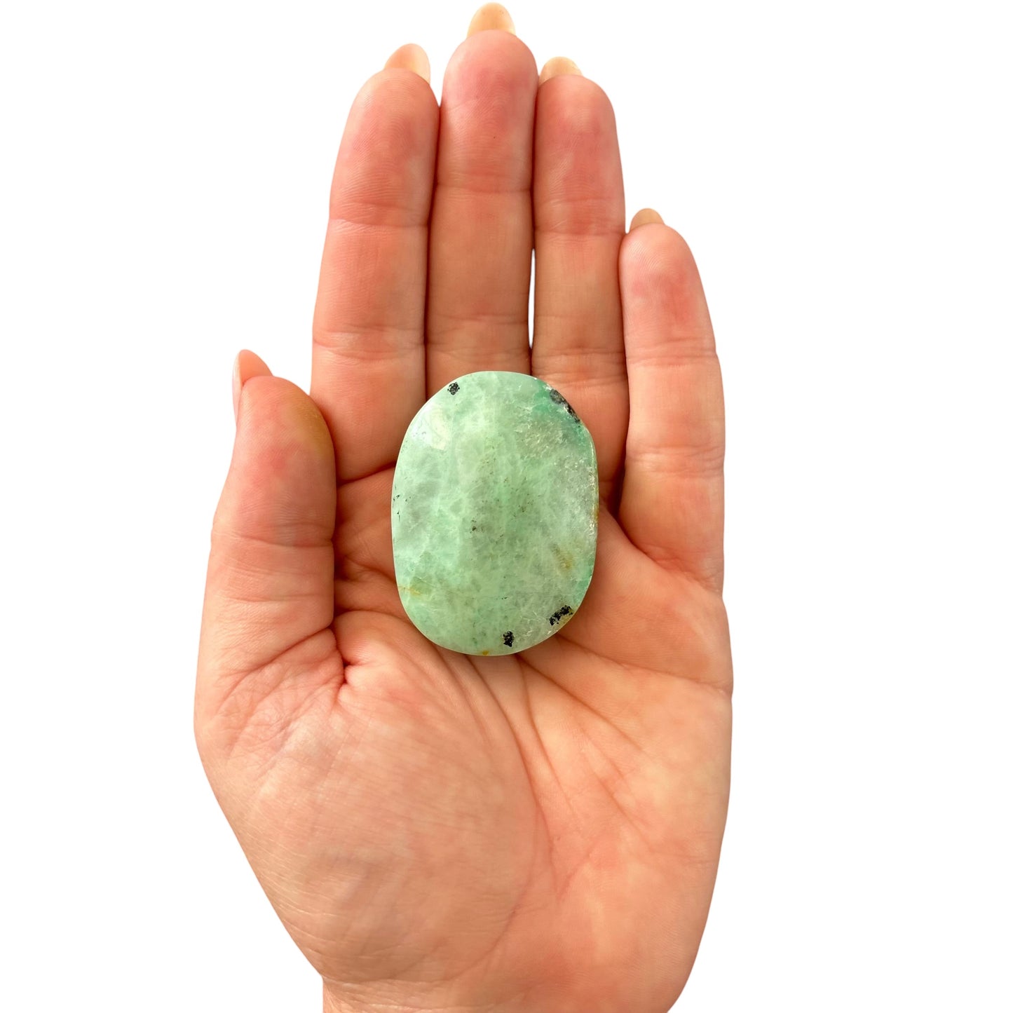 59g Phoenix Stone Palm Stone