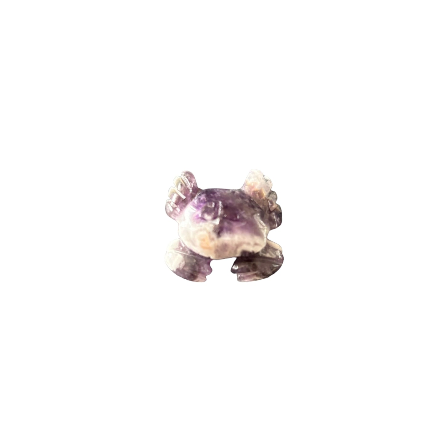 Amethyst Crab