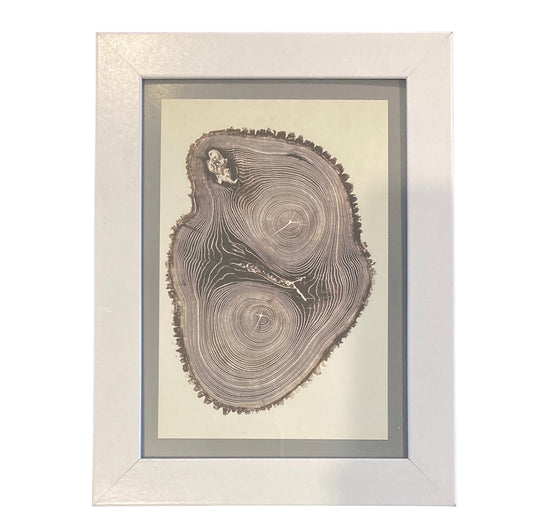 Framed Vintage Art-Wood Cross Section
