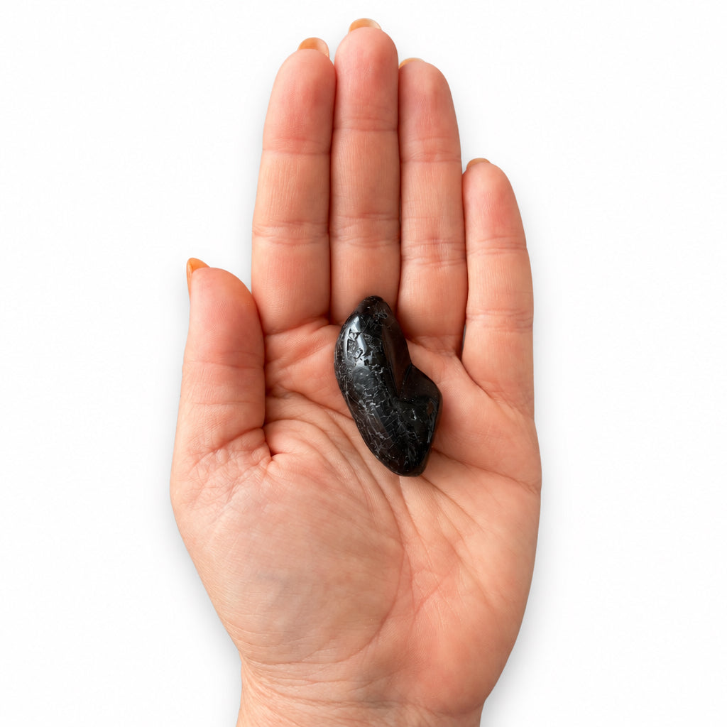 25-30g Black Tourmaline Tumble