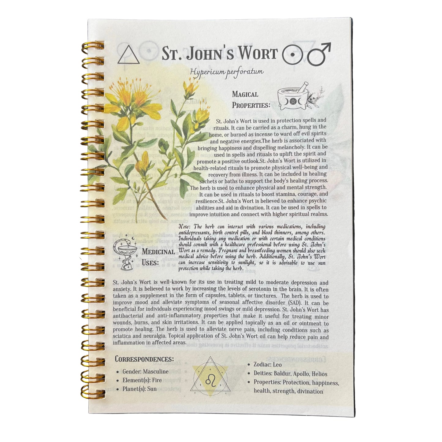 Ancient Remedies: The Natural Healing Handbook