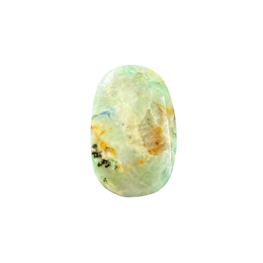 50g Phoenix Stone Palm Stone