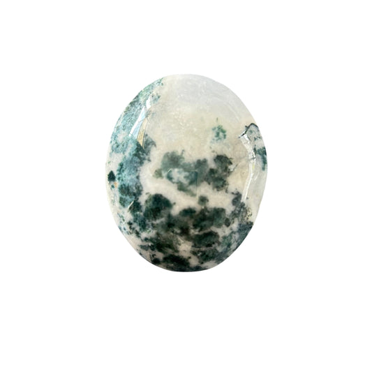 96g Moss Agate Palm Stone
