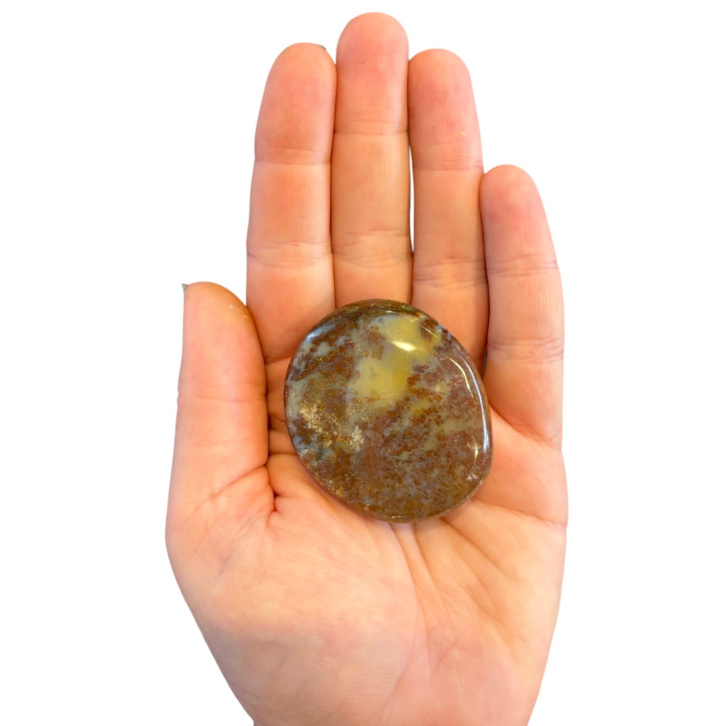 61g Ocean Jasper Palm Stone