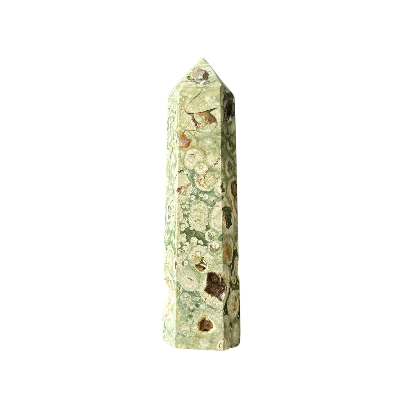 106mm Rainforest Jasper Point