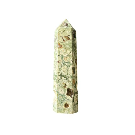 106mm Rainforest Jasper Point