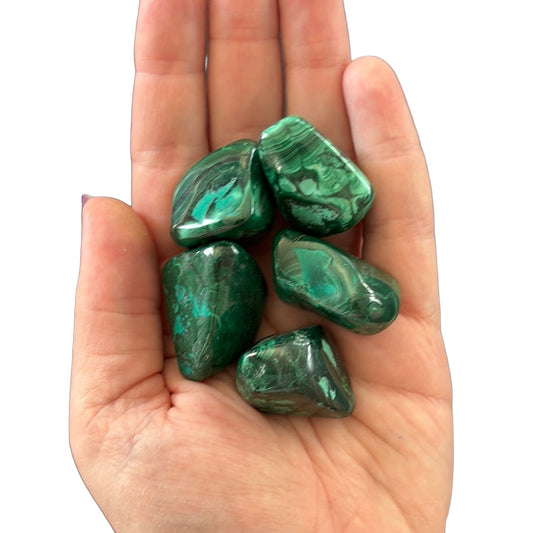30-40g Malachite Tumble