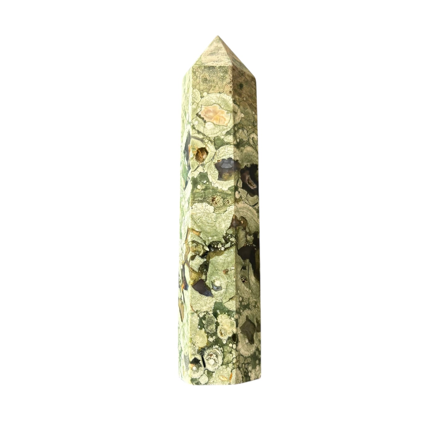 110mm Rainforest Jasper Point