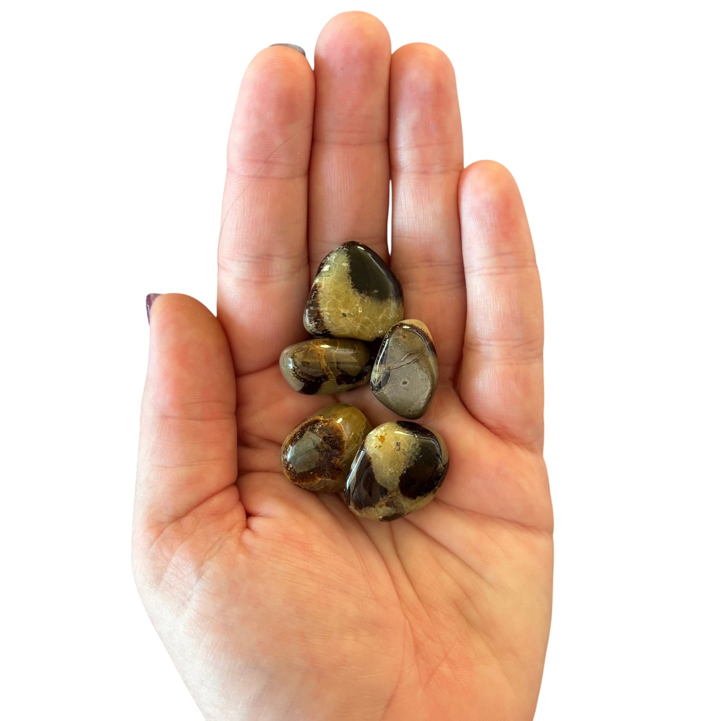 5-10g Septarian Tumble