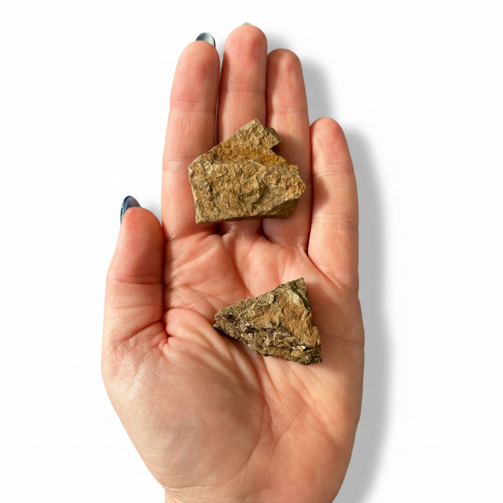 25-30g Bronzite Raw