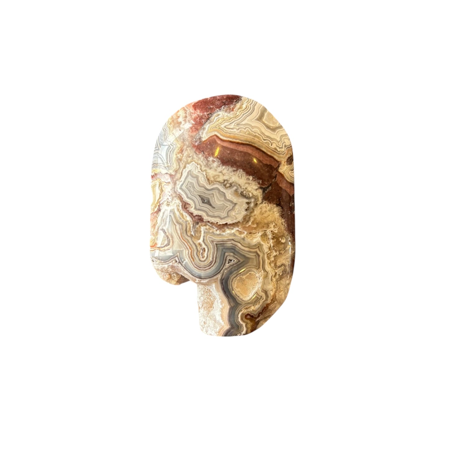55g Mexican Agate Palm Stone