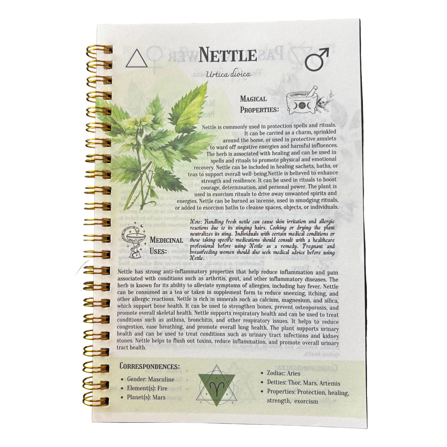 Ancient Remedies: The Natural Healing Handbook