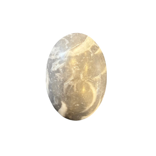 103g Thousand Eye Jasper Palm Stone