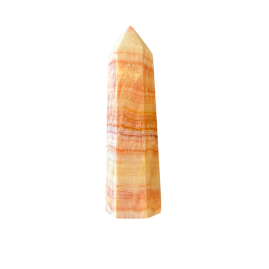 86mm Pork Stone Point