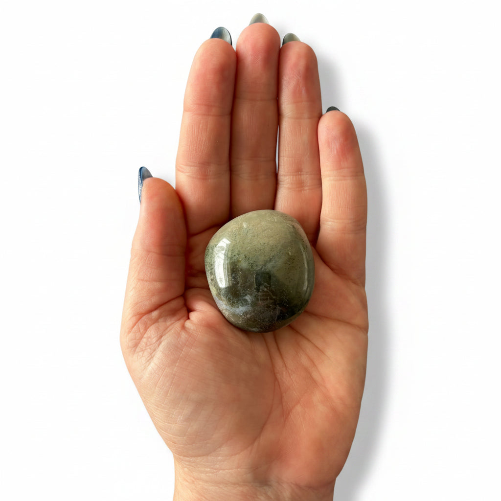 68g Ocean Jasper Palm Stone