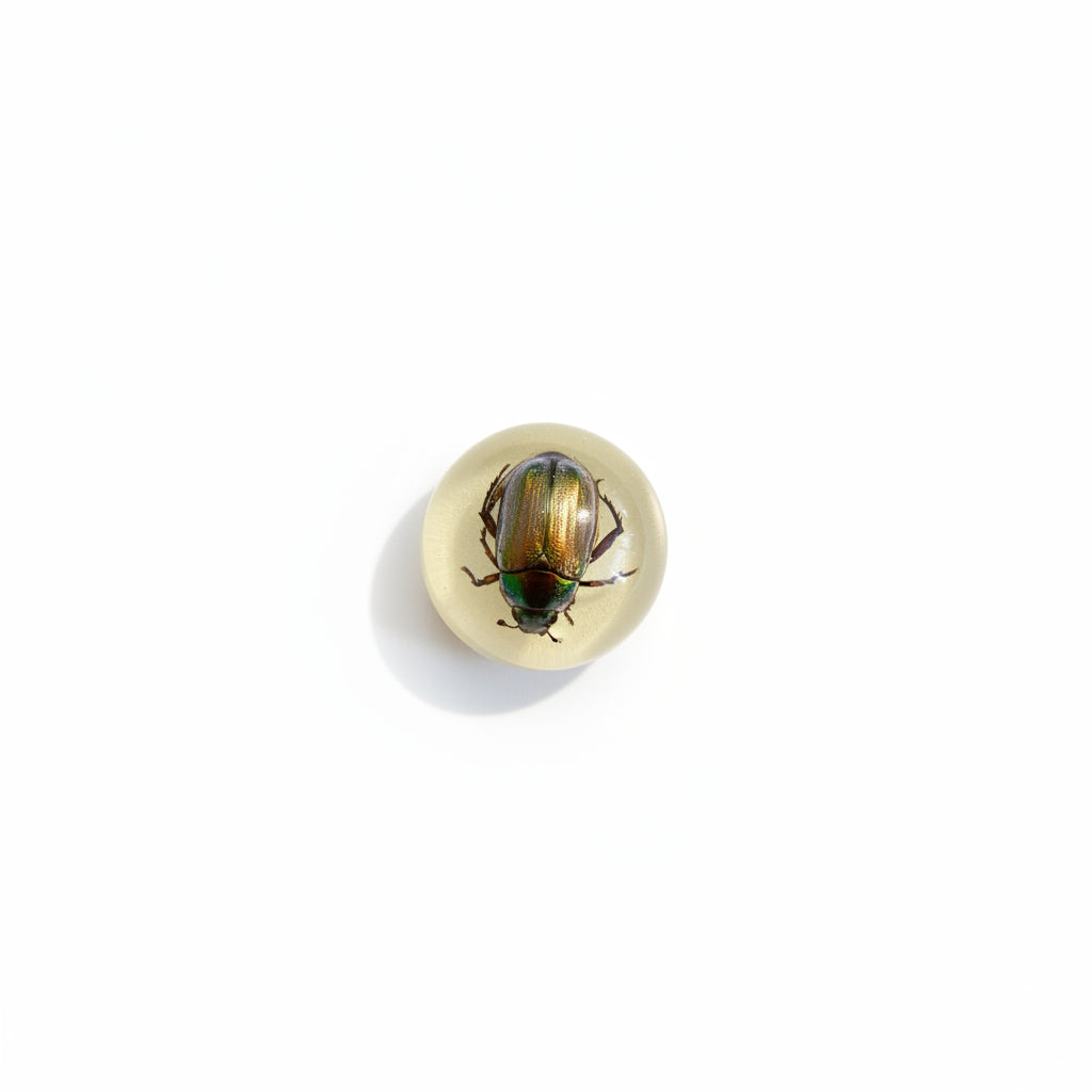 Resin with Bug Sphere