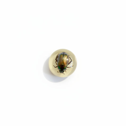 Resin with Bug Sphere