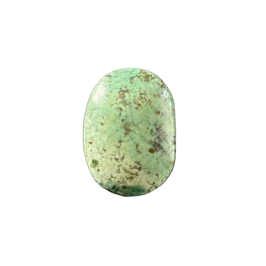66g Turquoise Palm Stone