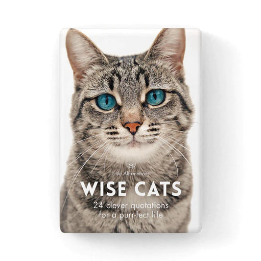 Wise Cats affirmation cards