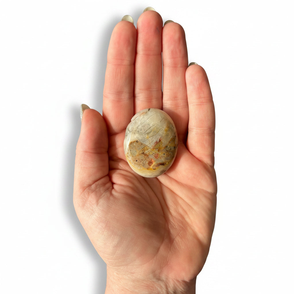 36g Crazy Lace Agate Palm Stone