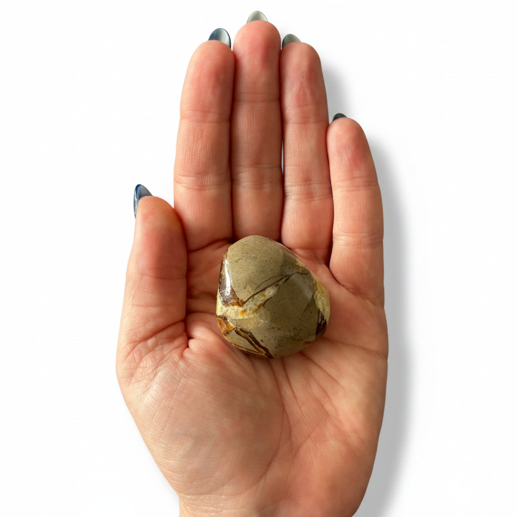 58g Septarian Palm Stone