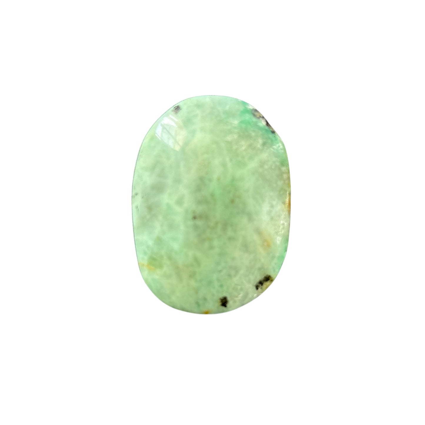 59g Phoenix Stone Palm Stone