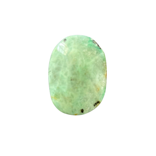 59g Phoenix Stone Palm Stone