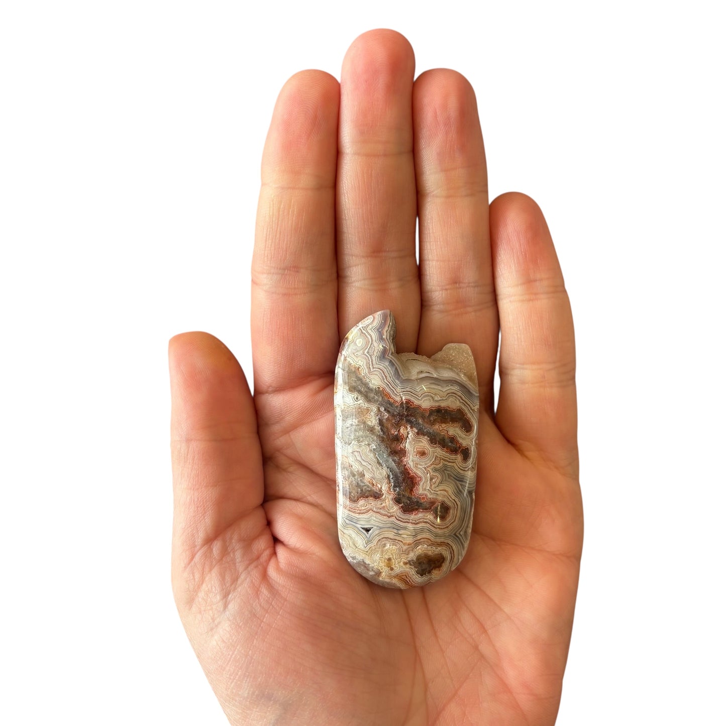 49g Mexican Agate Palm Stone