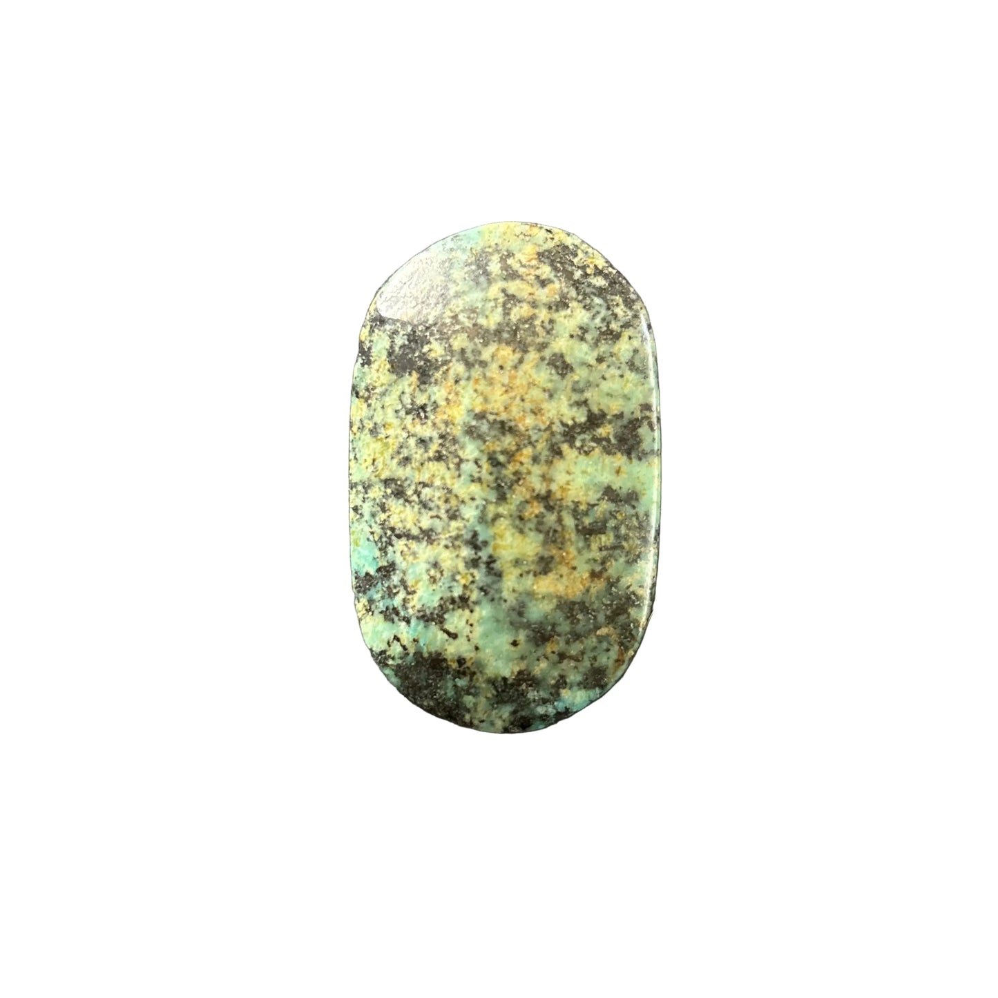 67g Turquoise Palm Stone