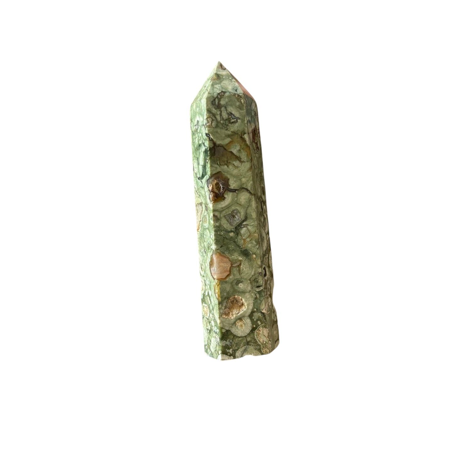 106mm Rainforest Jasper Point