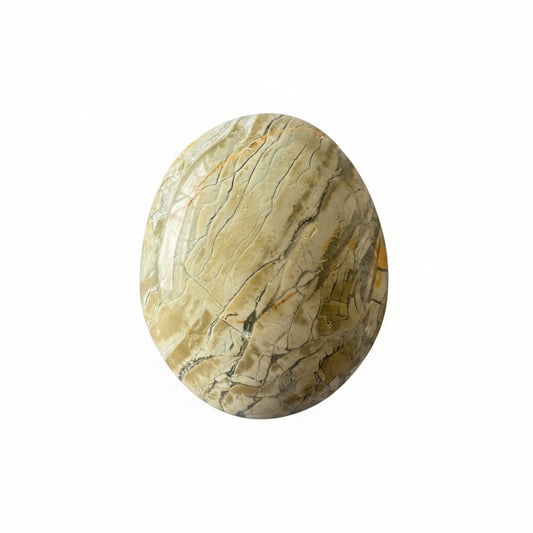 107g Ocean Jasper Palm Stone