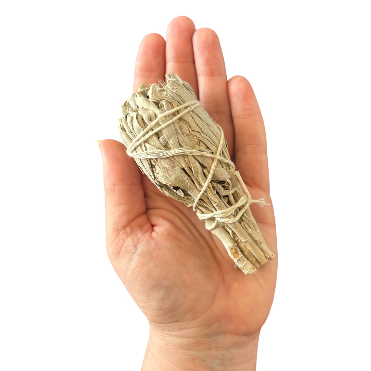 White Sage Mini Smudge Stick