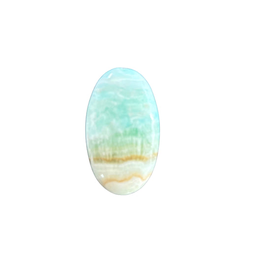 87g Caribbean Calcite Palm Stone