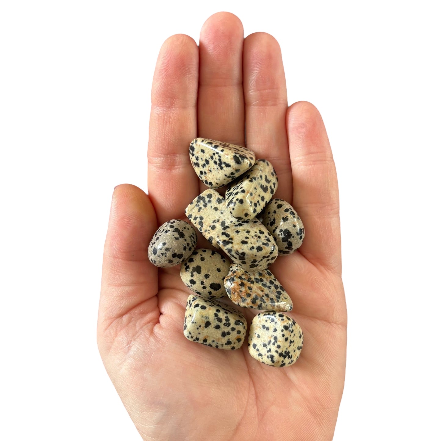 5-10g Dalmatian Jasper Tumble