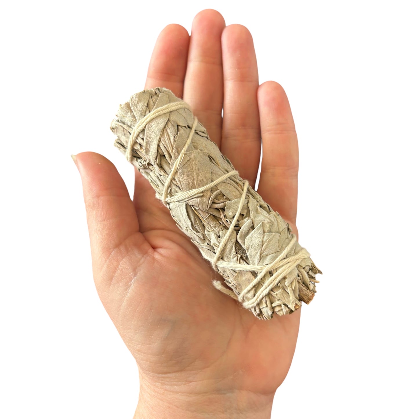 White Sage Small Smudge Stick