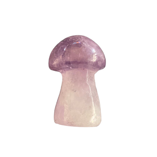 22g Amethyst Mushroom