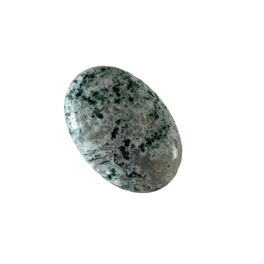 95g Moss Agate Palm Stone