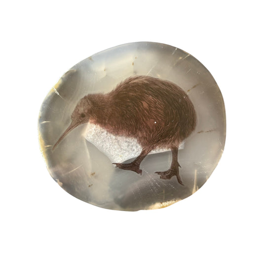 Agate Kiwi Slice