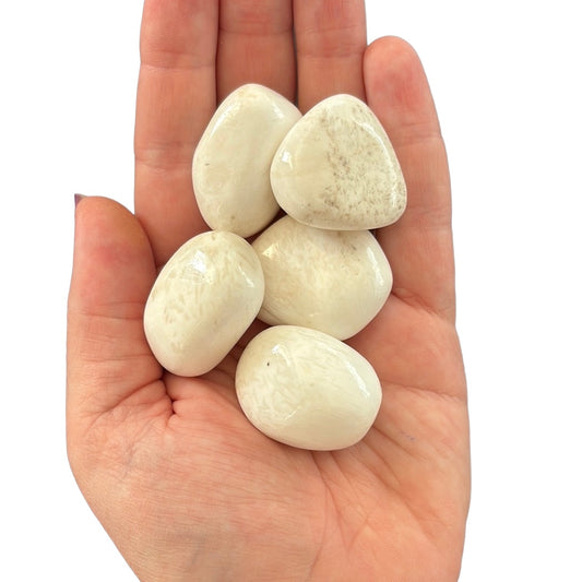 20-25g Scolecite Tumble