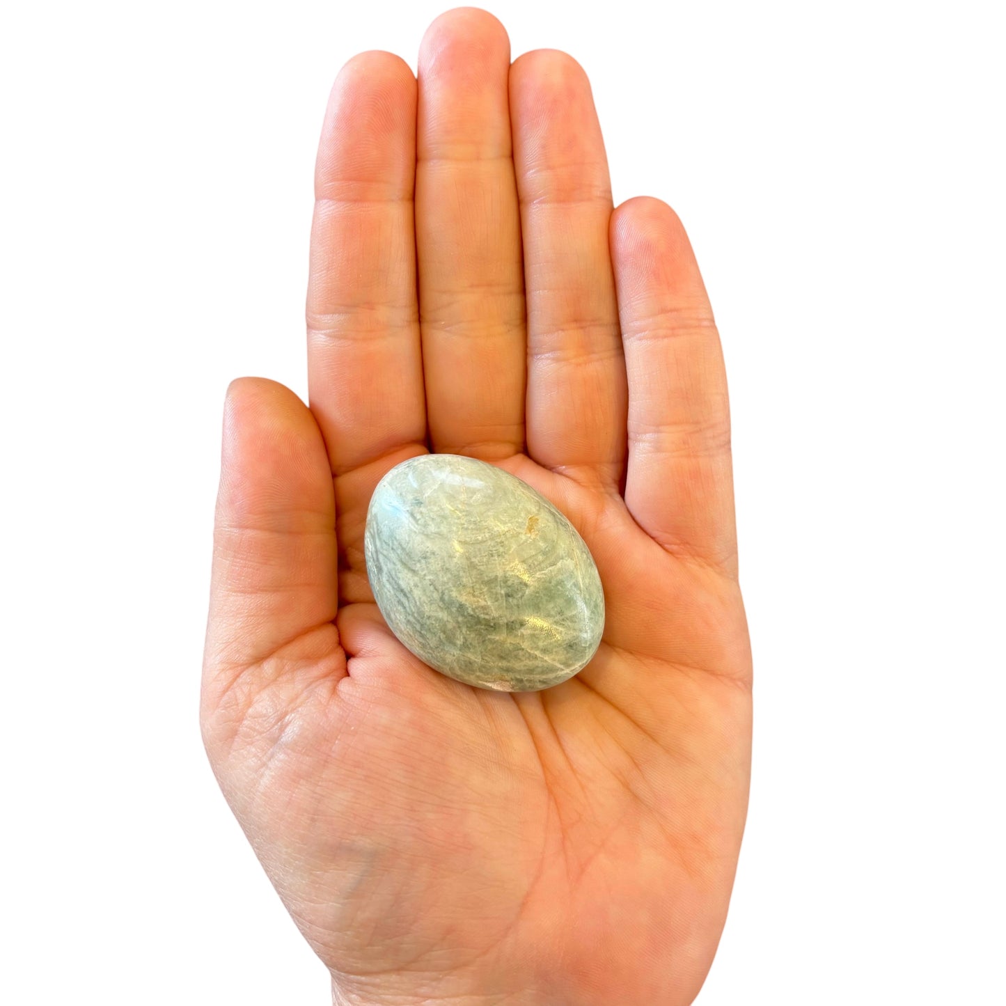 48g Amazonite Palm Stone