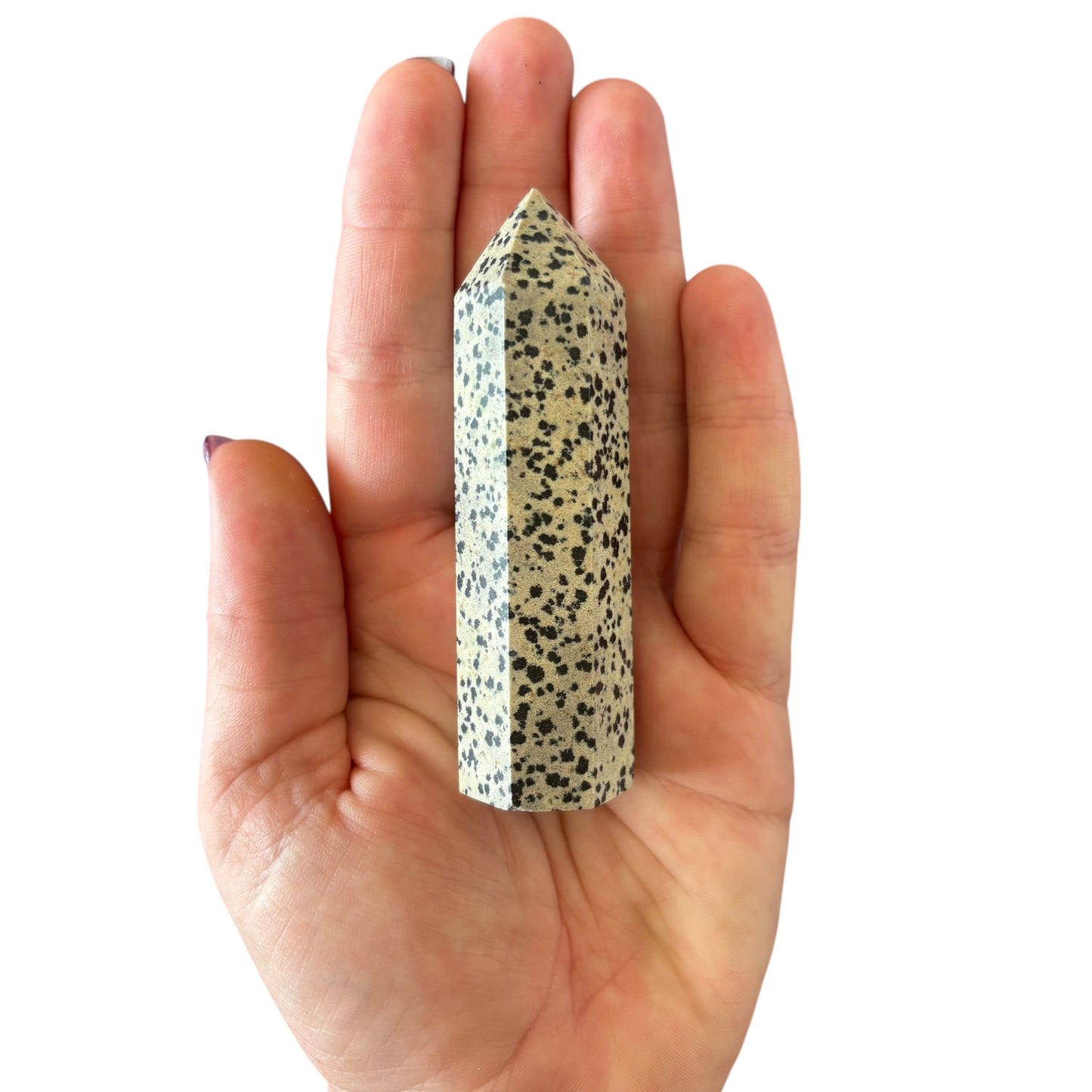 89mm Dalmation Jaspeer Point