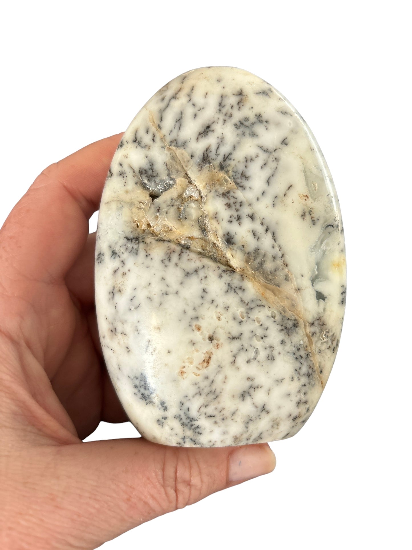 338g Dendritic Agate Freeform