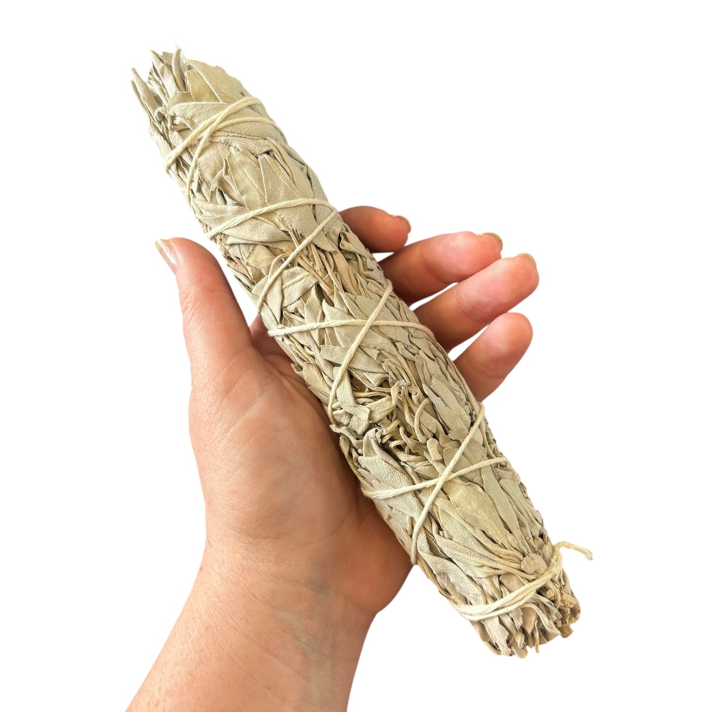 White Sage Large Smudge Stick