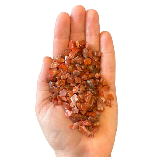 100g Carnelian Bag of Chips