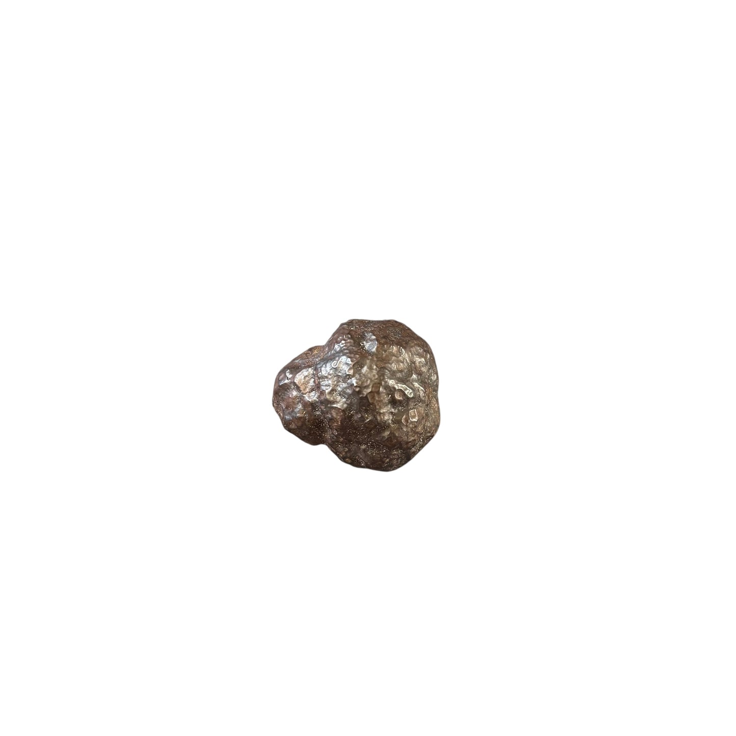 30-40g Prophecy Stone Raw