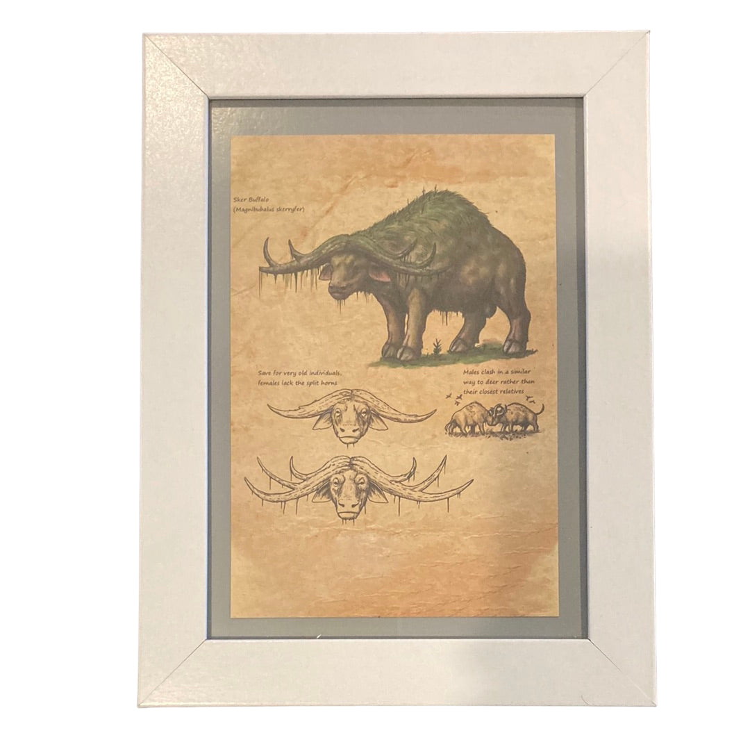 Framed Vintage Art-Bison