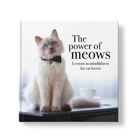 The Power of Meows